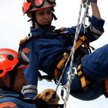 equipo-contra-incendio-equipo-seguridad